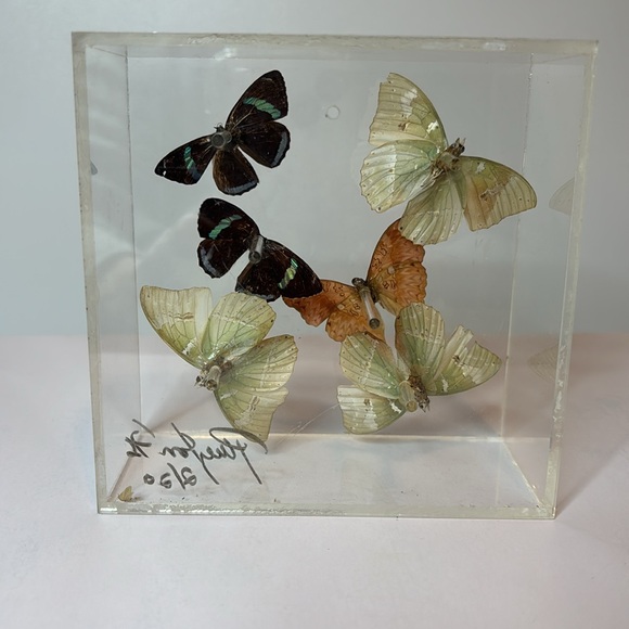 Vintage 1976 Signed Lucite Box Art / Real Butterflies / MCM Wall Decor - Picture 5 of 7